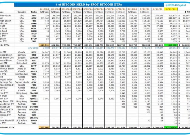 截至6月21日，全球比特币ETF共计持有102.9万枚比特币，AUM达668.85亿美元