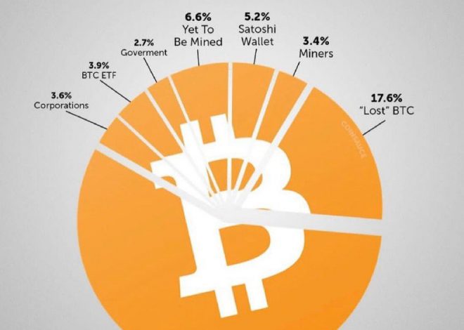 2100万枚比特币中已丢失占比达17.6%，个人持有占比达57%